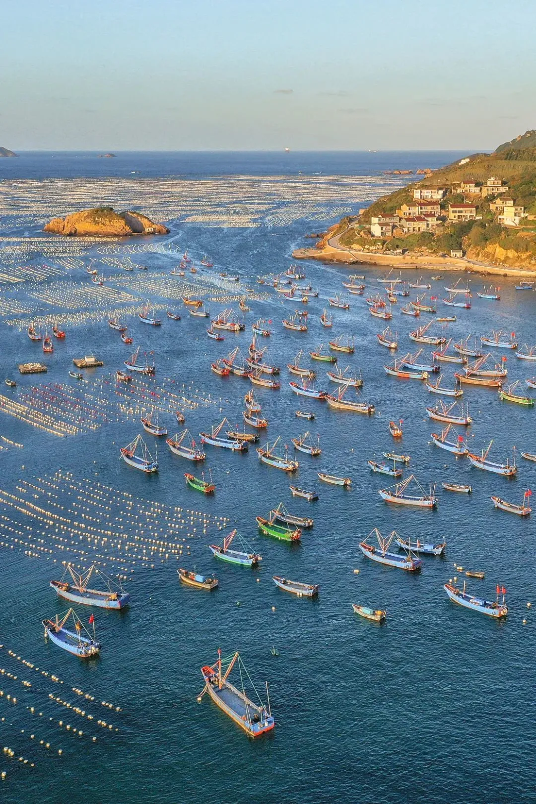 舟山开海，千帆竞发。图/视觉中国