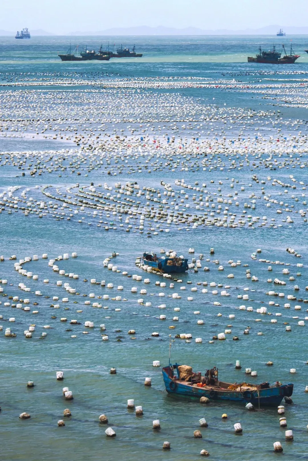 海产养殖，犹如在大海上耕田。图/视觉中国