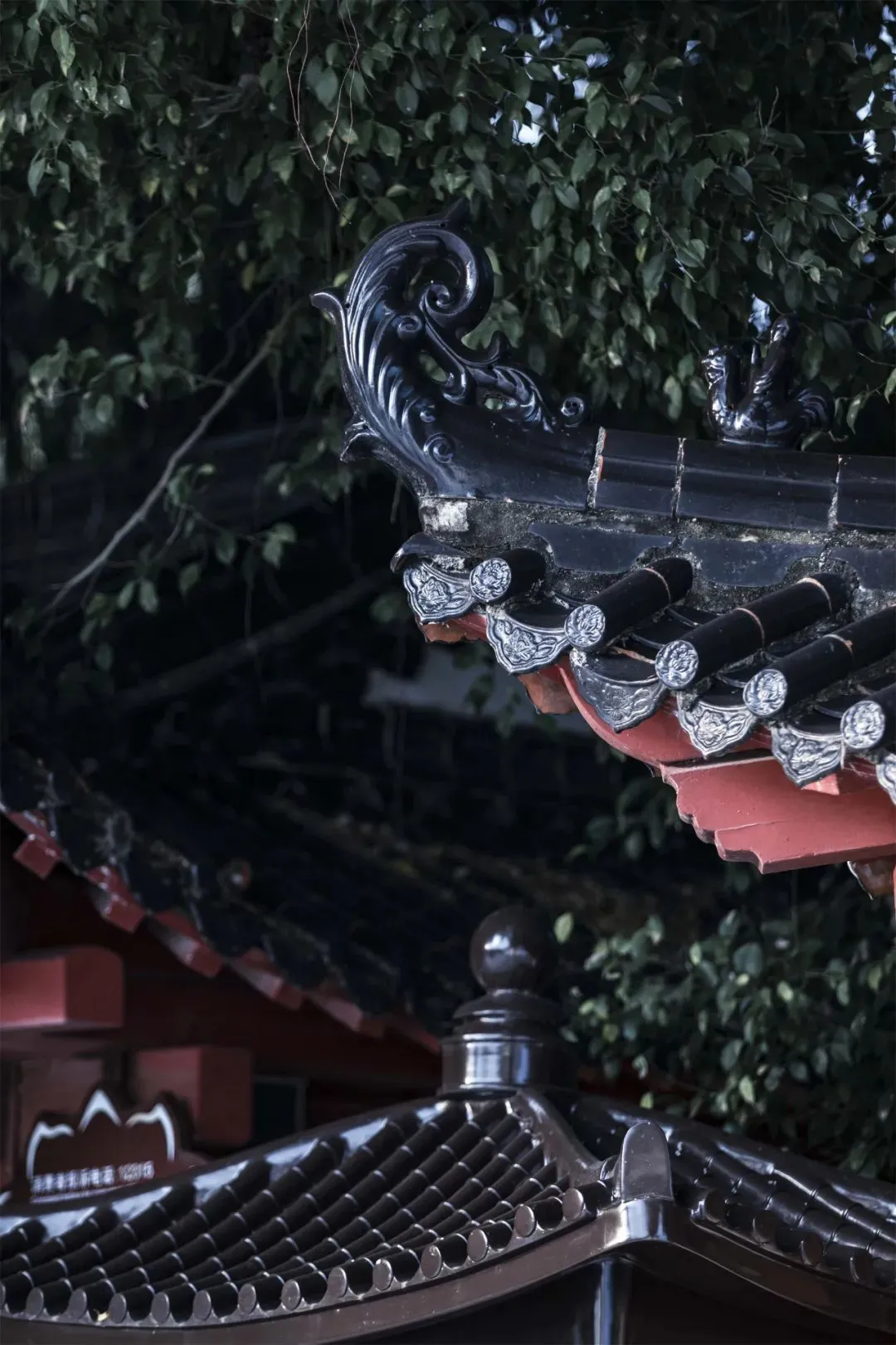 ▲禅院夜色