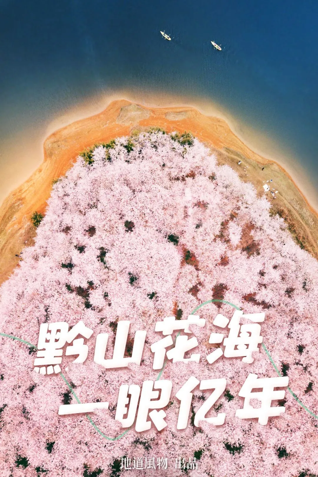 世界最大樱花园、百里杜鹃…贵州的春天有多“撩人”？
