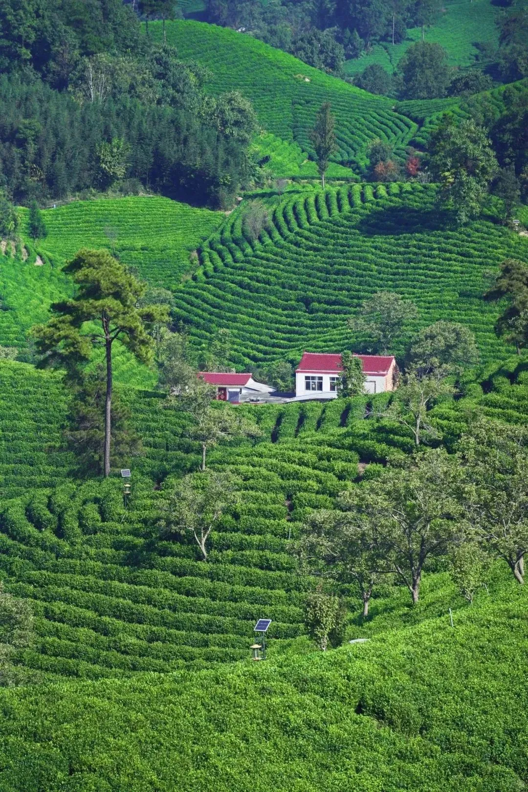 @小红书拍照的泡泡