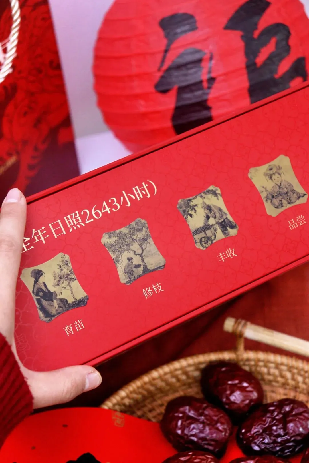 喝昆仑山雪水长大的“枣中红宝石”，比鸡蛋还大，你一定没吃过_凤凰网