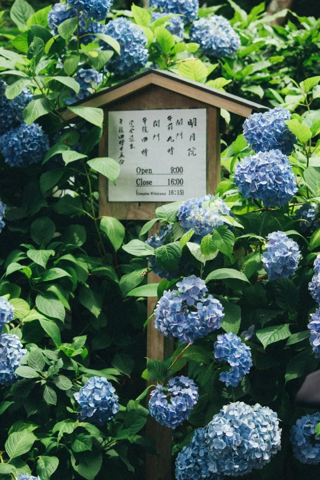 unsplash@atul vinayak