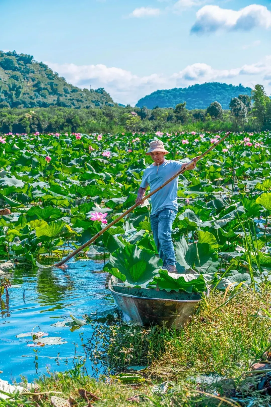 均温20℃的冷门避暑地，夏日风景美到封神