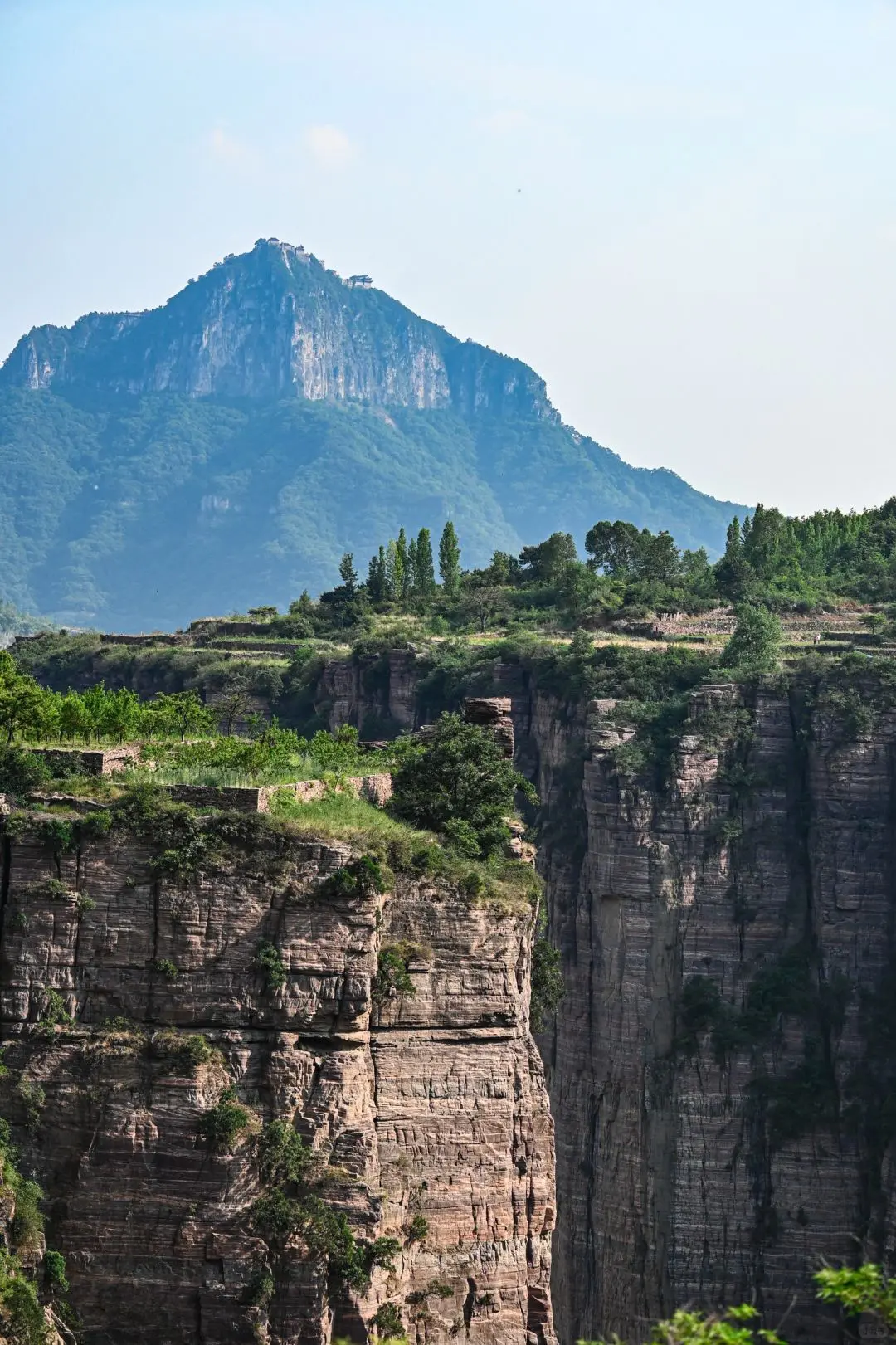 小红书@你怎么睡着了