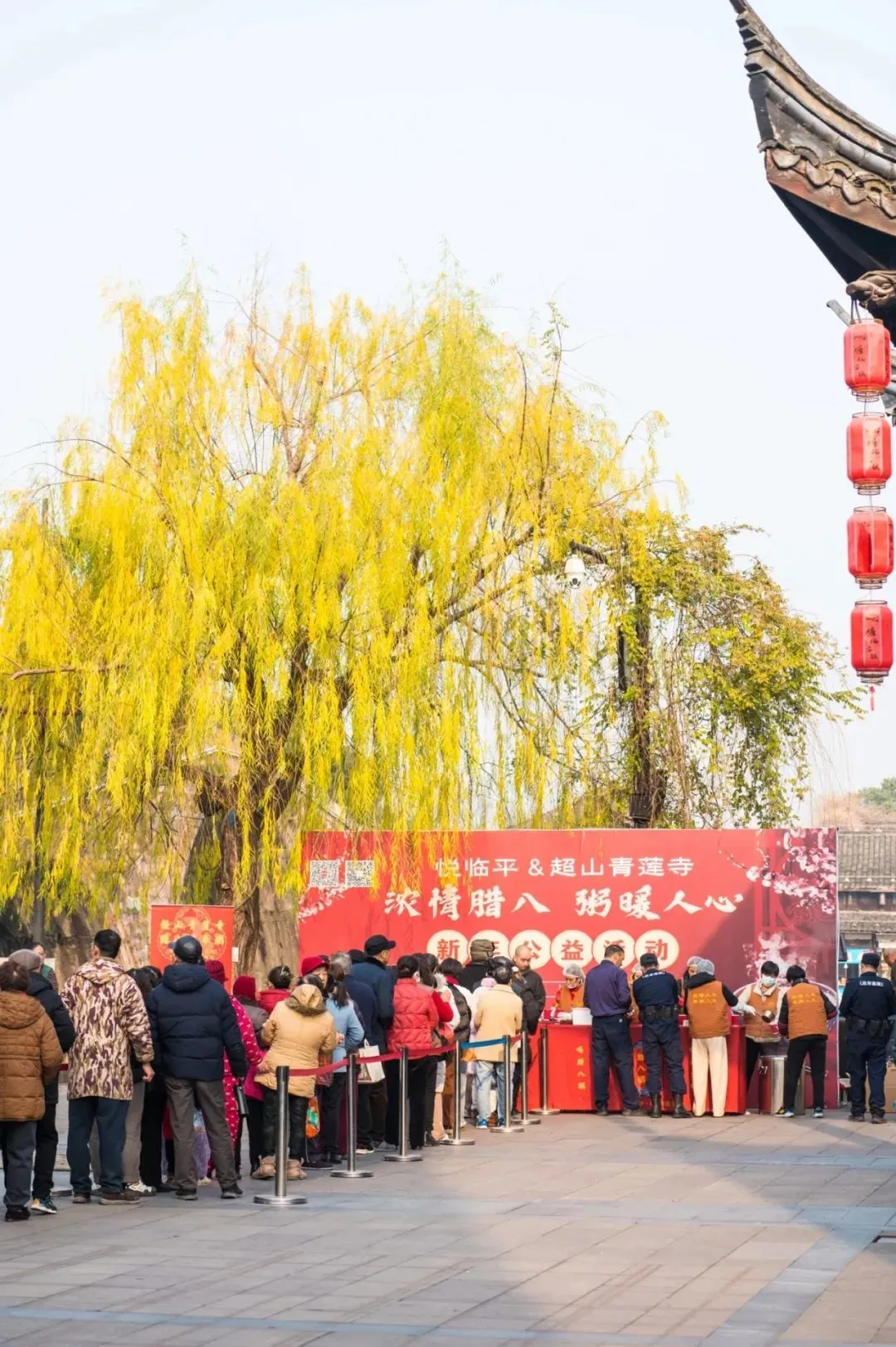 佛陀成道日 | 腊八节佛粥太火爆了！直击全国各寺院奉粥现场