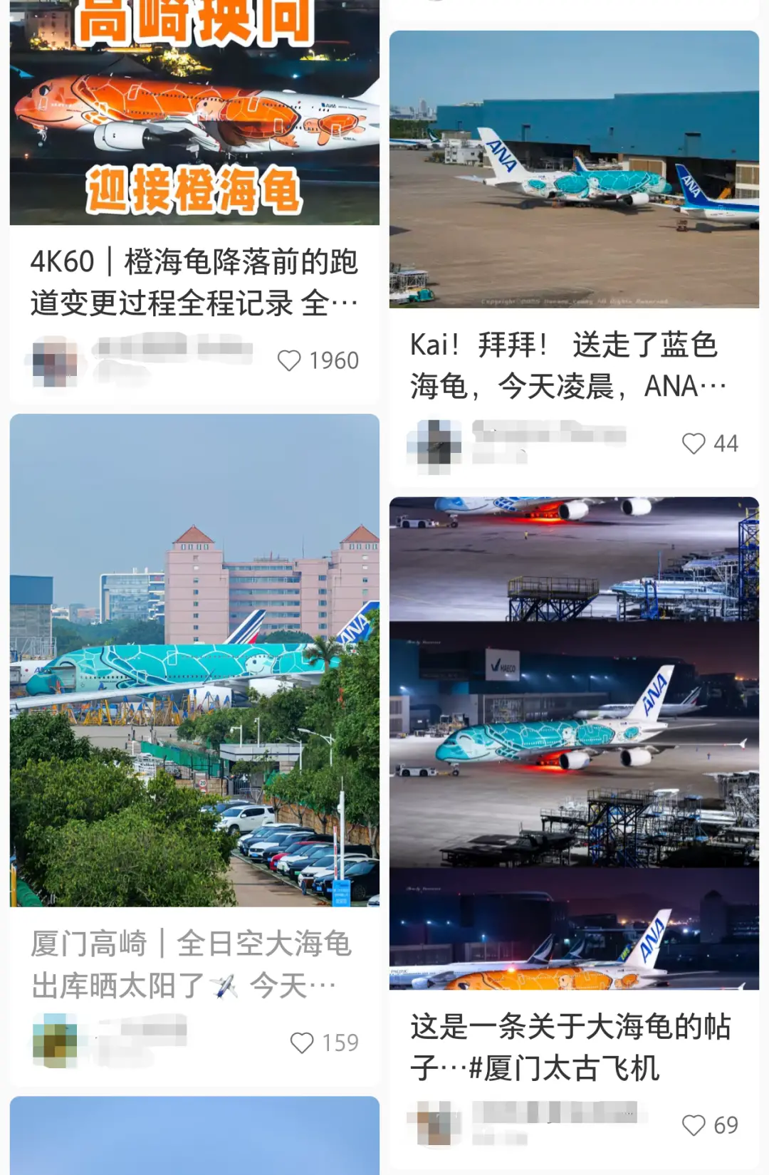 △“大海龟”出现在厦门引起轰动，它的一举一动都被网友记录下来。（图/小红书截图）