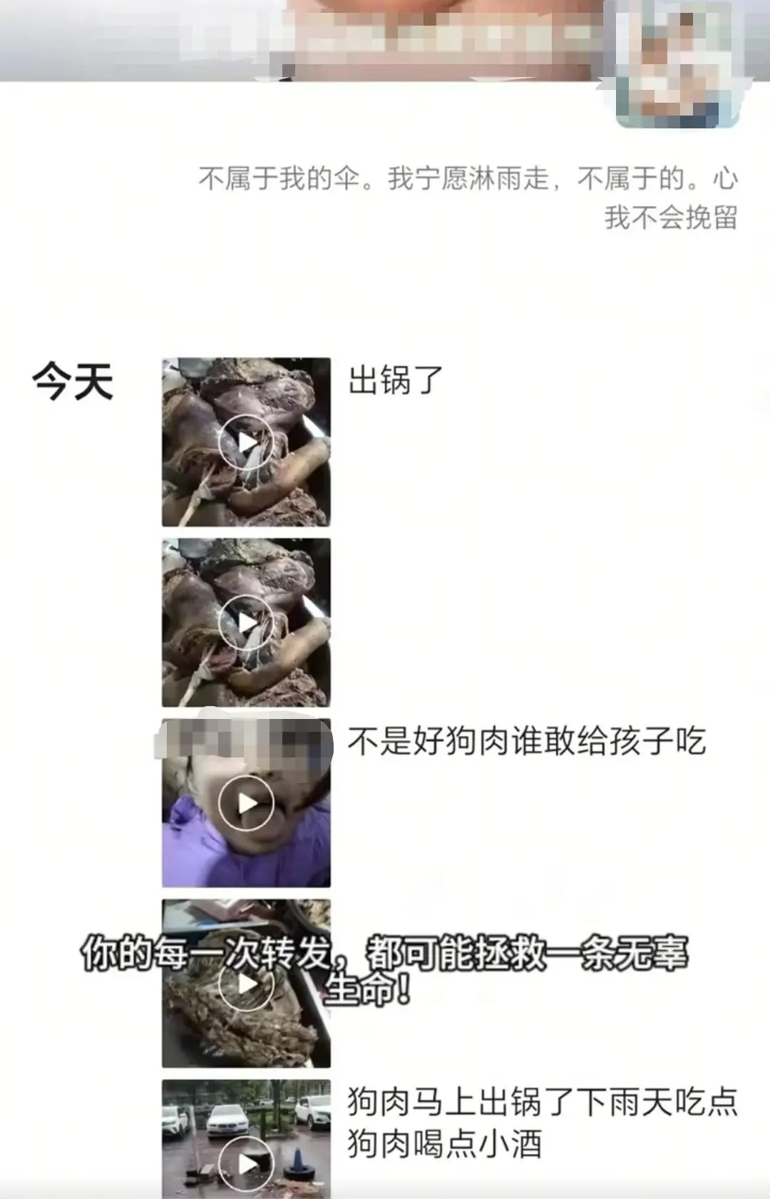 店铺老板假借领养名义烹食流浪狗，警方回应