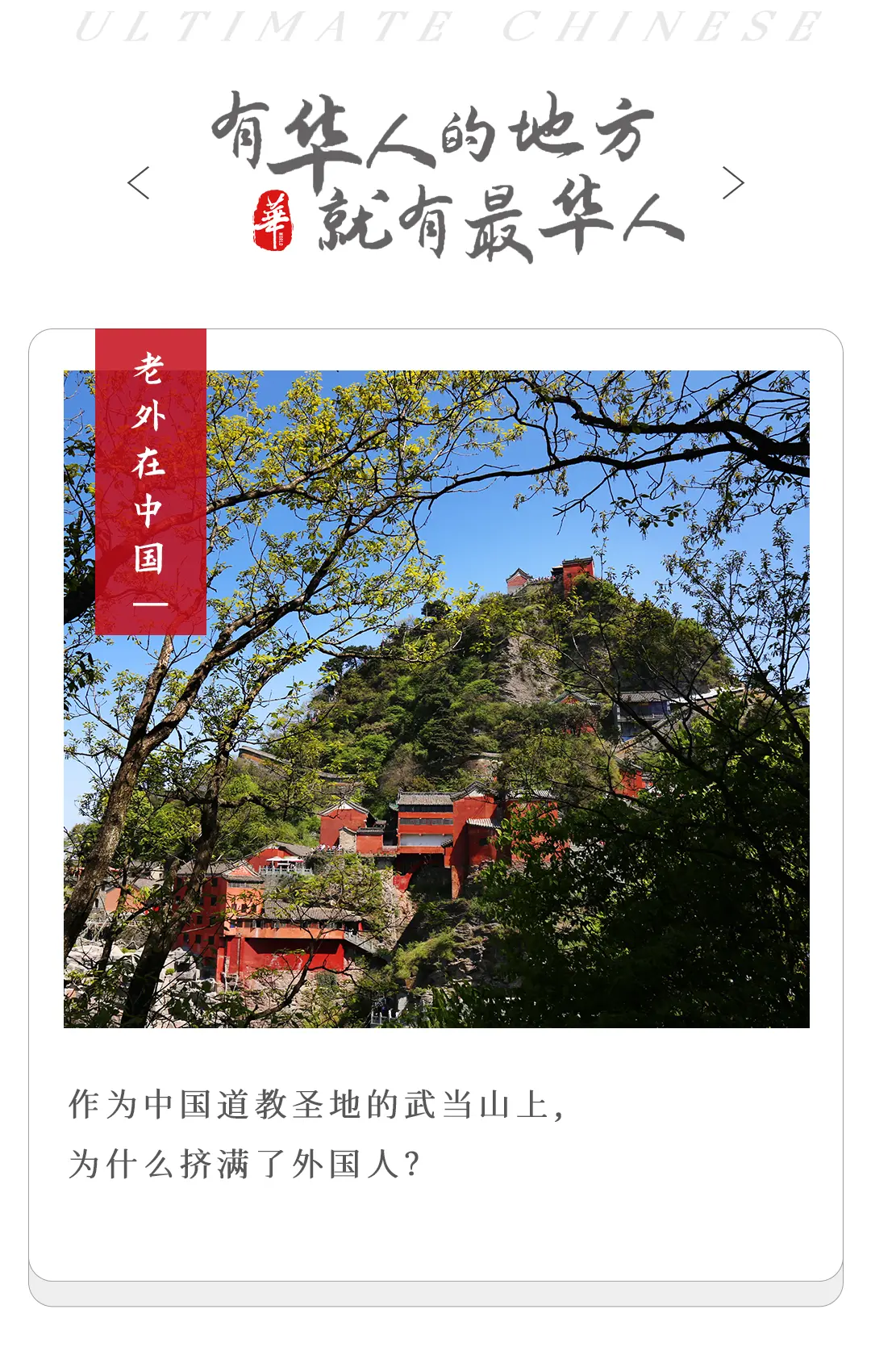 沉迷“修仙”的外国人,快把武当山包围了