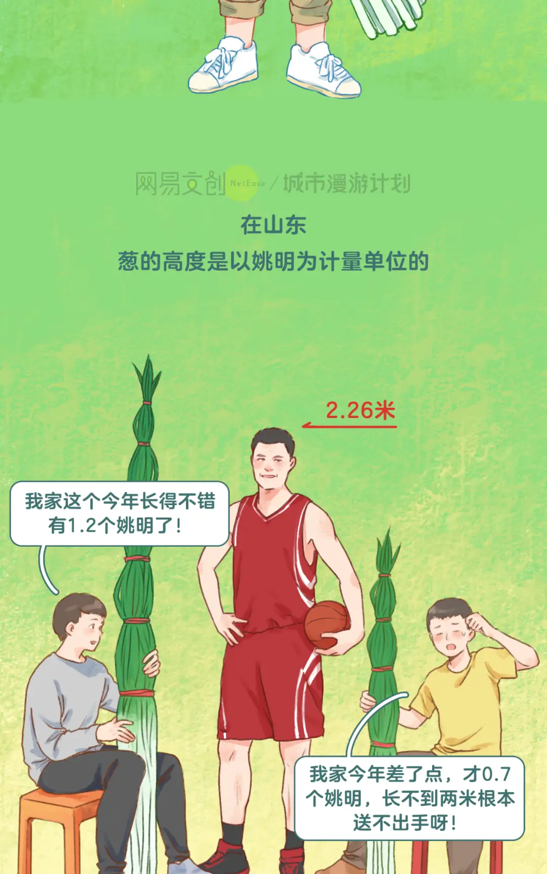 山东人骂你是小葱，是什么意思？