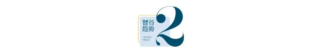 活在“信息茧房”里的贾国龙，凭一己之力把西贝拖进深渊_https://www.izongheng.net_快讯_第5张