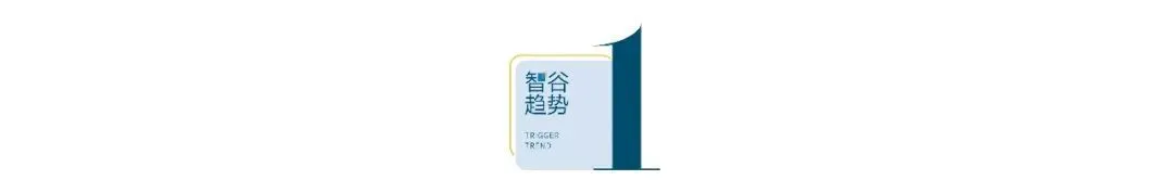 活在“信息茧房”里的贾国龙，凭一己之力把西贝拖进深渊_https://www.izongheng.net_快讯_第3张