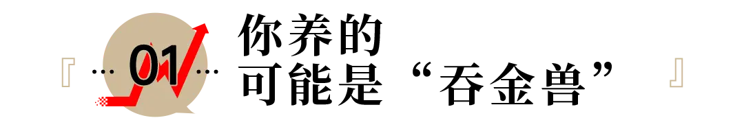 “养龙虾”刷屏：谁才是幕后的大赢家？_https://www.izongheng.net_互联网_第3张