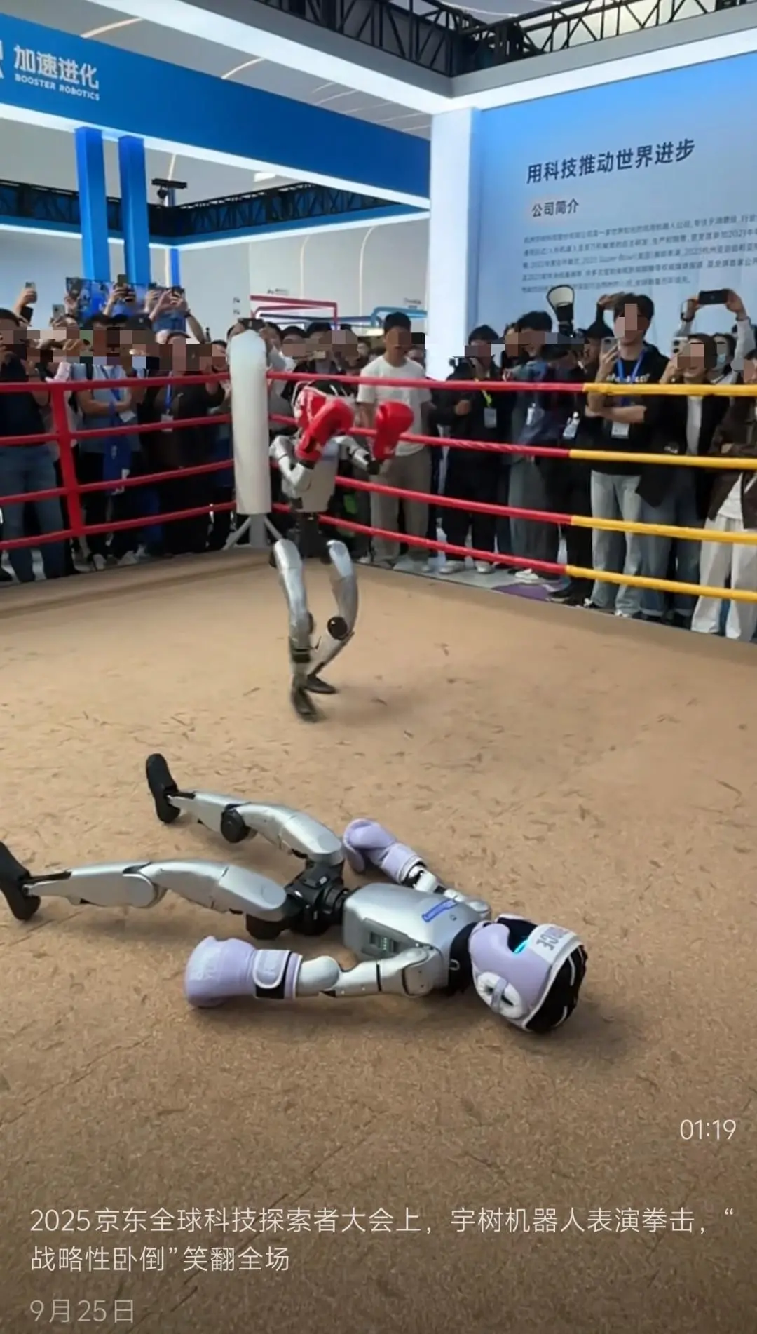 ▲机器人在拳击表演中「战略性卧倒」