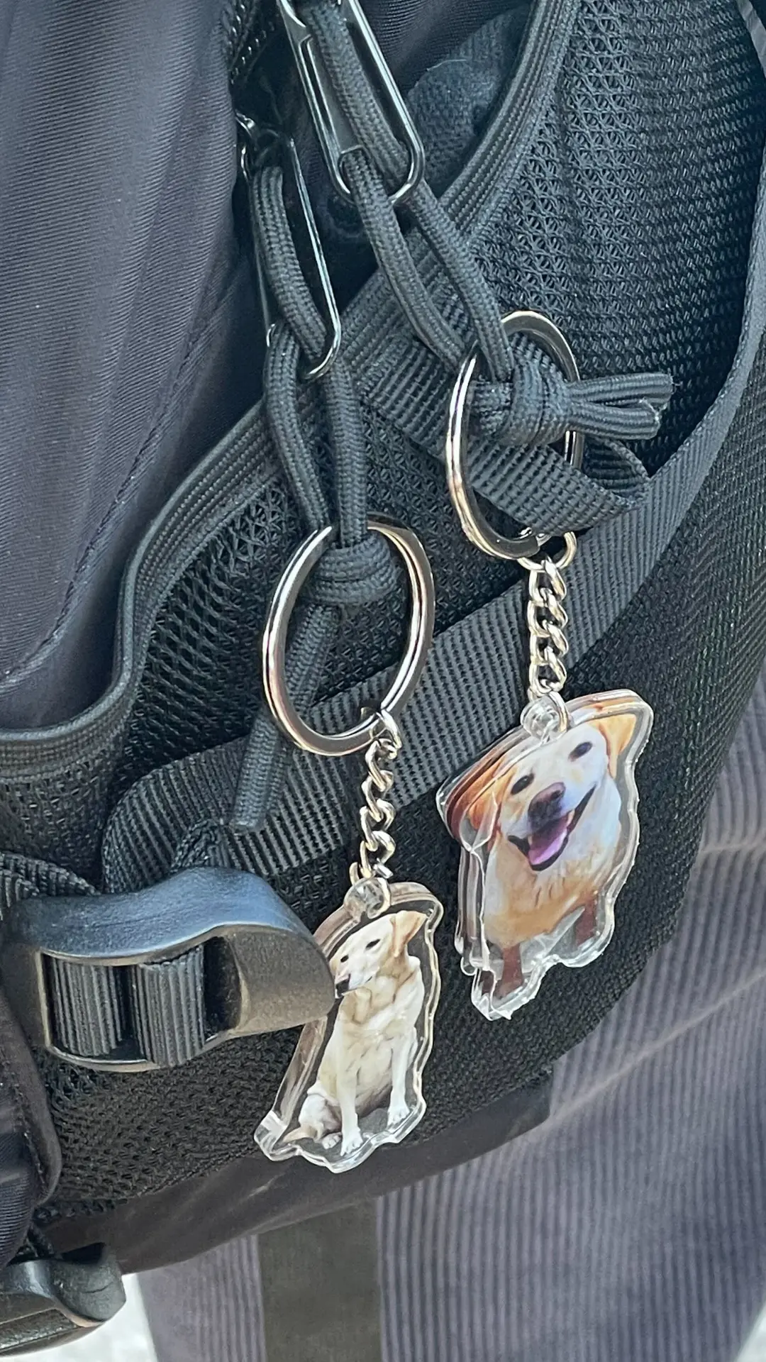 与我交谈的一位中国移民的背包上挂着宠物钥匙扣。图源：华促会