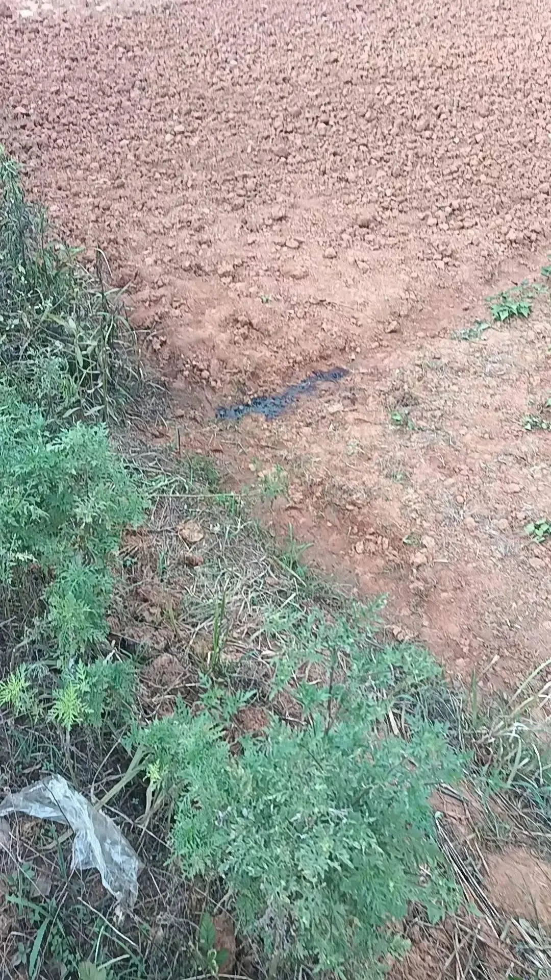 尸体被发现的地方（家属供图）