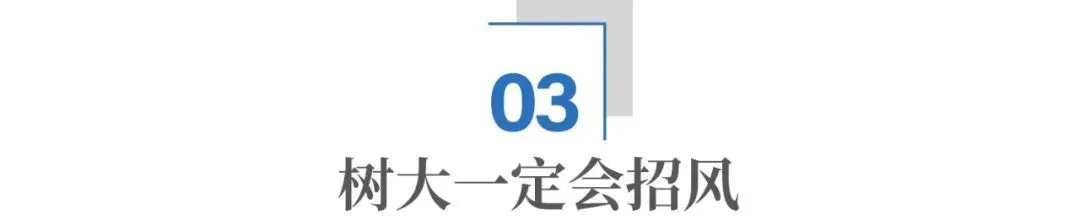 馬斯克，為什么非要從政？