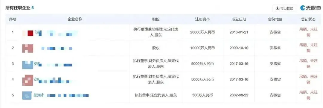 李女士名下的5家公司。图源：天眼查