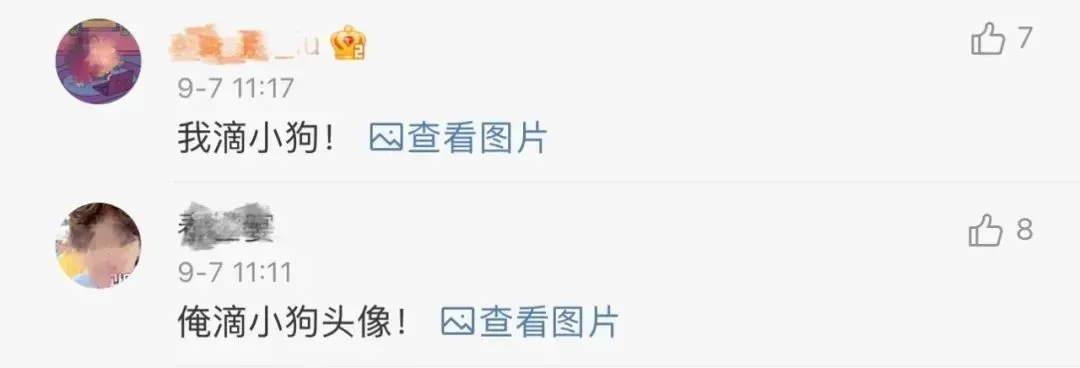 微信头像，还有这功能？-微信头像的讲究大有玄机