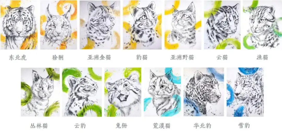 自然艺术创作者青川创作的“十三猫”系列合集 图源 | 紫牛头条