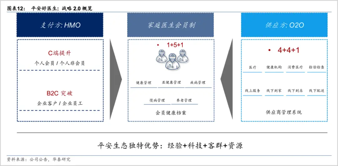 向上生长：平安健康的硬核底色(向上生长简笔画)