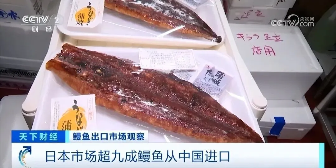 网红品牌又翻车,餐盘残渣明显,被罚后仍屡犯不改?曾排队3000桌_快讯_第22张_纵横网 网红品牌又翻车,餐盘残渣明显,被罚后仍屡犯不改?曾排队3000桌_https://www.izongheng.net_快讯_第22张