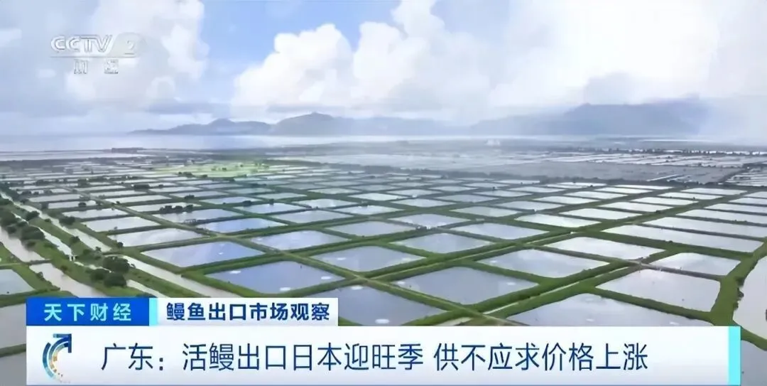 网红品牌又翻车,餐盘残渣明显,被罚后仍屡犯不改?曾排队3000桌_快讯_第21张_纵横网 网红品牌又翻车,餐盘残渣明显,被罚后仍屡犯不改?曾排队3000桌_https://www.izongheng.net_快讯_第21张