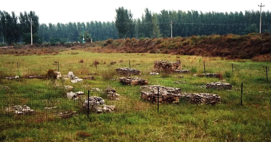 鄴南城遺址收集的舊瓦 攝影/本刊記者 倪偉