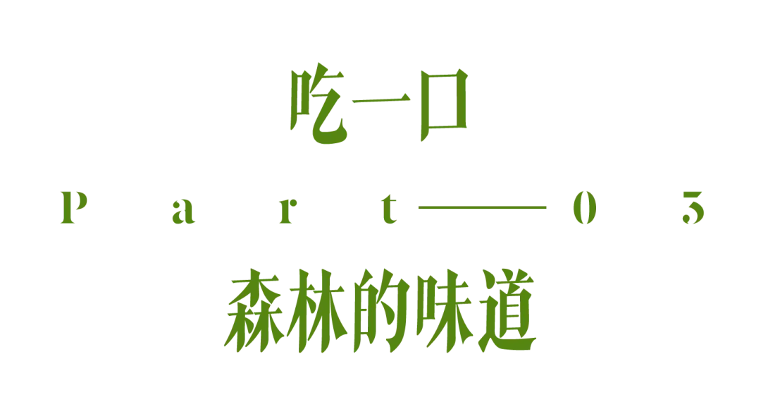 国内封神级的秋景，不止新疆有