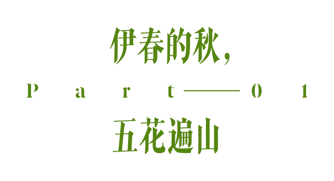 国内封神级的秋景，不止新疆有
