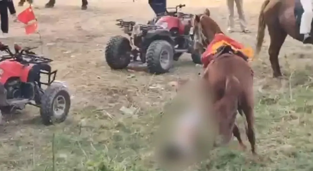 孩子被马匹拖行中（视频截图）