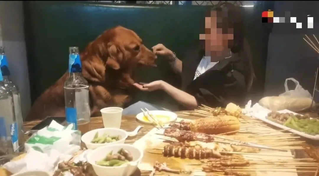 大连女子烧烤店内用铁签喂狗,十多年老店停业整顿