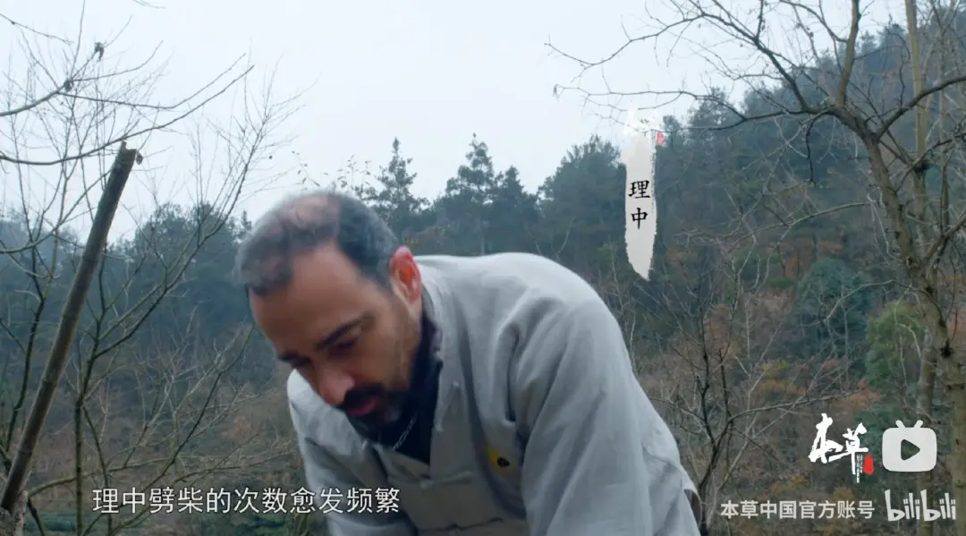 ● 图片来源:本草中国官方账号
