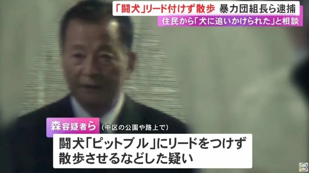 （日本黑幫組長森健次）