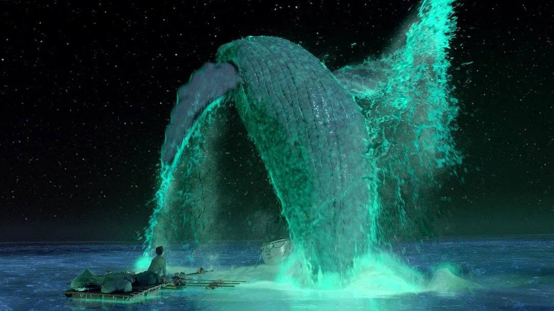 独具魅力的鲸，在《奇怪的律师禹英雨》中出现了哪些鲸(这是一只鲸鱼)