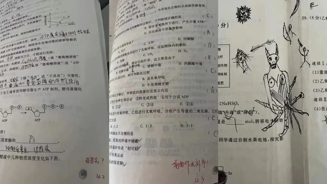 张某的作业、试卷 图/叶珠峰