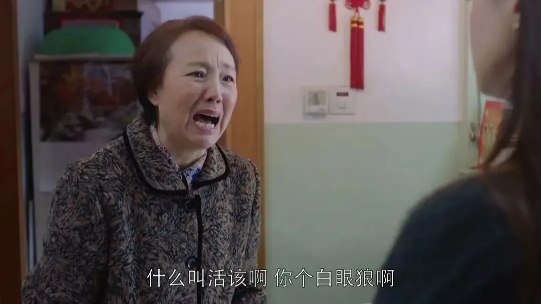 电视剧《欢乐颂》樊胜美与母亲 剧照