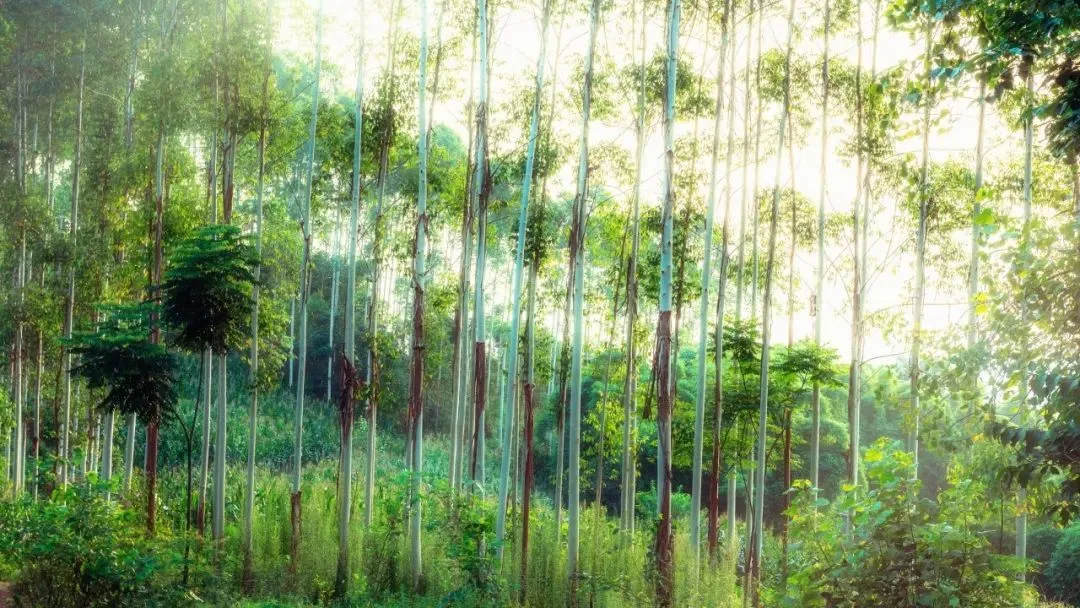 硬核推荐（铁的四字成语）带铁的成语四字成语大全集2022已更新-第5张图片-汇赚商