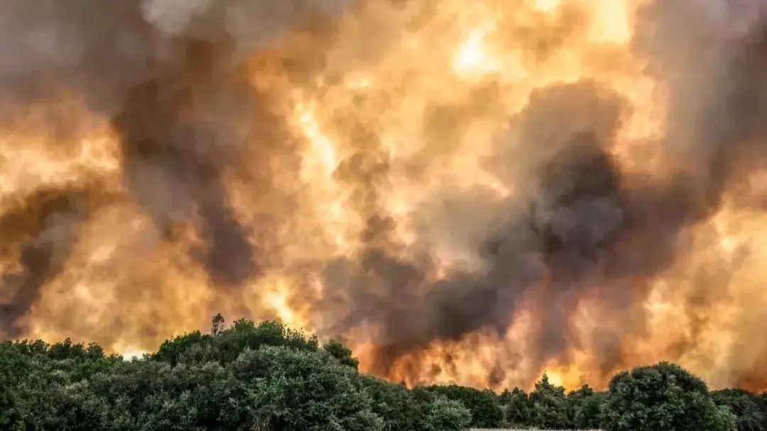 ▲ 7 月 18 日，雅典西南 25 公里处的普纳里 (Pournari) 发生森林火灾。（法新社图）