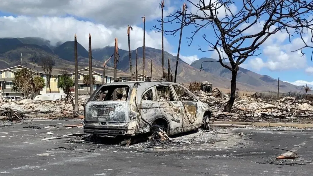 ▲ 夏威夷州毛伊岛野火发生后，拉海纳镇上被大火烧毁的建筑和汽车残骸。