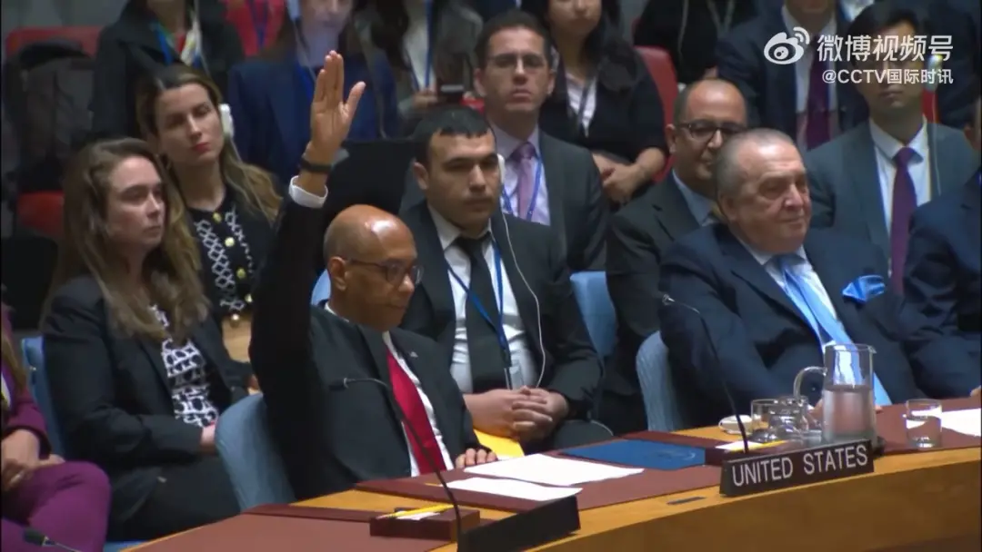 美国代表举手投出反对票（视频截图）