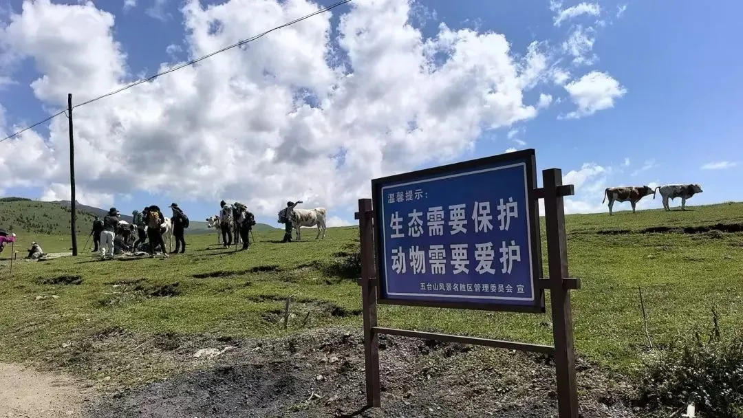 五台山景区内的提示牌（央广网发 五台山景区供图）