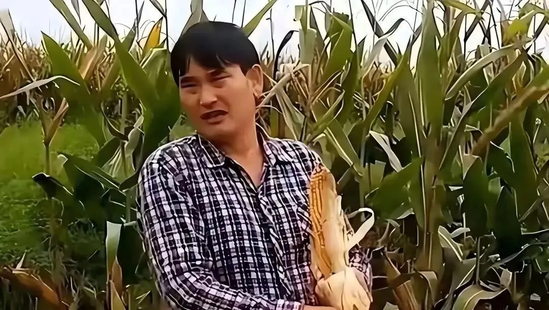 图源：