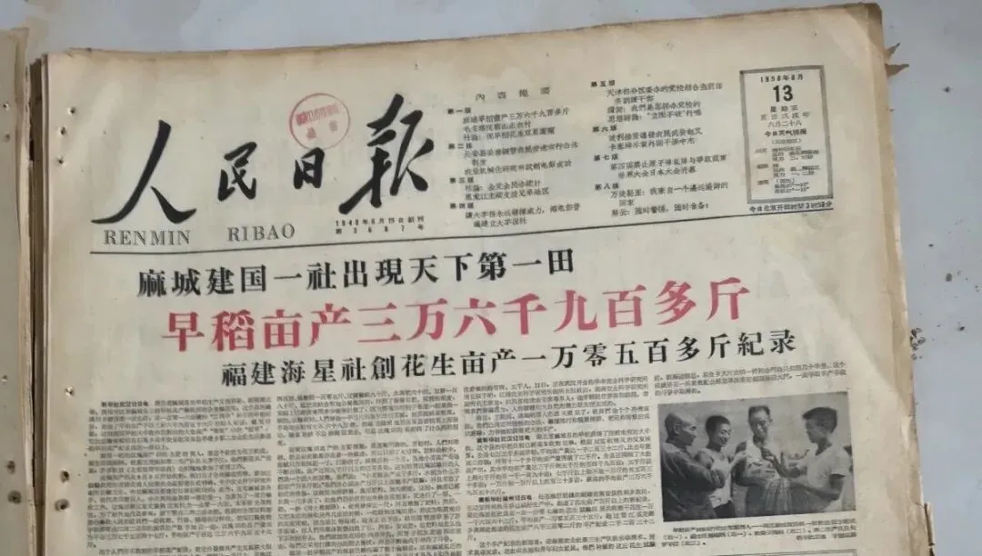 电视台报道水稻亩产万斤？这是在2025年……_https://www.izongheng.net_快讯_第4张