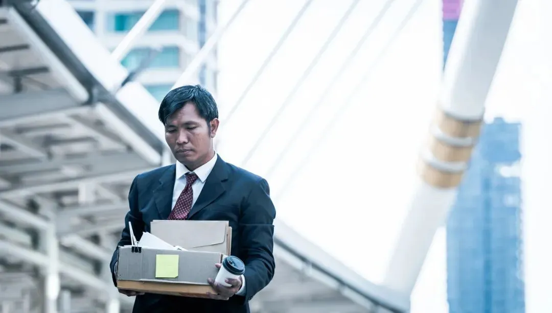 本届计算机毕业生,找工作比文科生还难_快讯_第3张_纵横网 本届计算机毕业生,找工作比文科生还难_https://www.izongheng.net_快讯_第3张