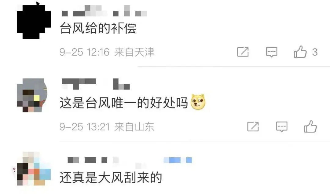 广东多地台风后现大量生蚝！专家紧急提醒_https://www.izongheng.net_快讯_第5张