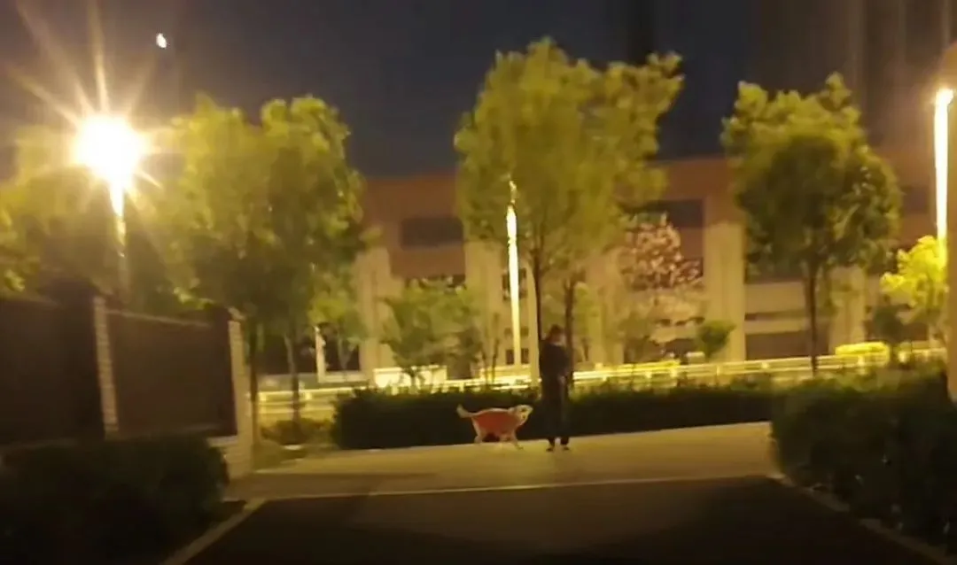 女友和小狗在楼下等黄晓回家