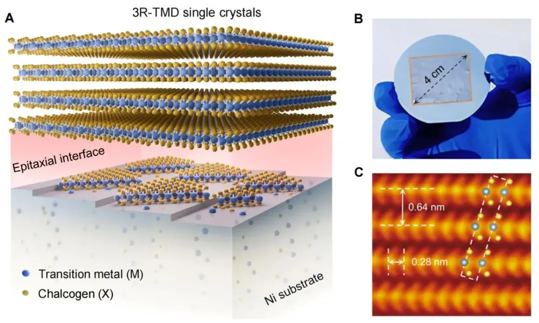 创新科研破壁垒 光学晶体创未来——记北京大学物理学院刘开辉教授团队