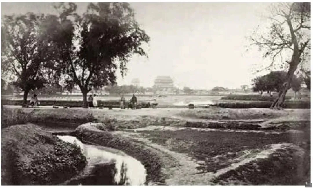 1870ʲɲ