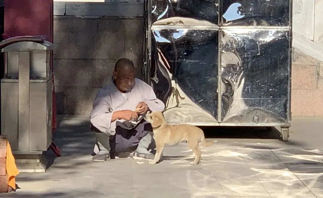 师父喂饼啦